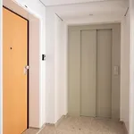 Palmeiras Apartment, By Bolhao Residences Διαμέρισμα Πόρτο
