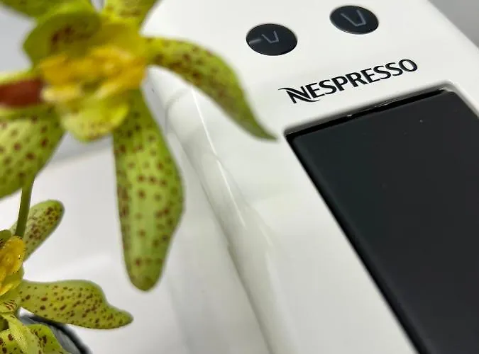 Palmeiras Apartment, By Bolhao Residences Apartment *